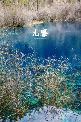路飞大冒险