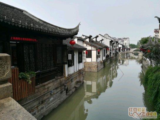 从小到大一直有一个问题经久不衰，到底钱重要还是命重要？游戏画面
